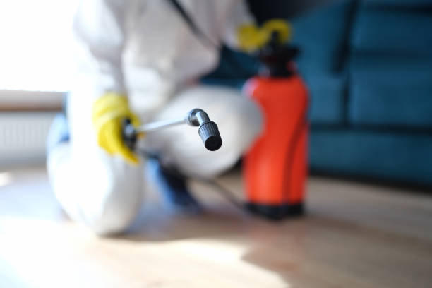 Best Industrial Mold Remediation  in Smithville, MO